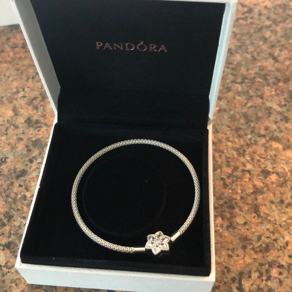 Pandora charm bracelet